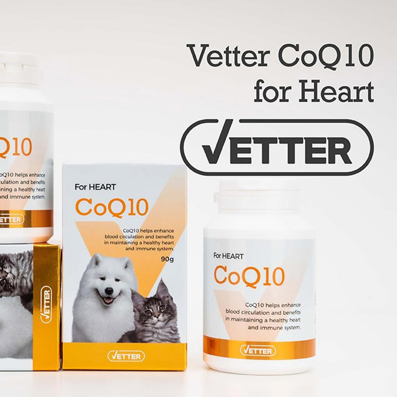 CoQ10 Heart Supplement for Cats and Dogs