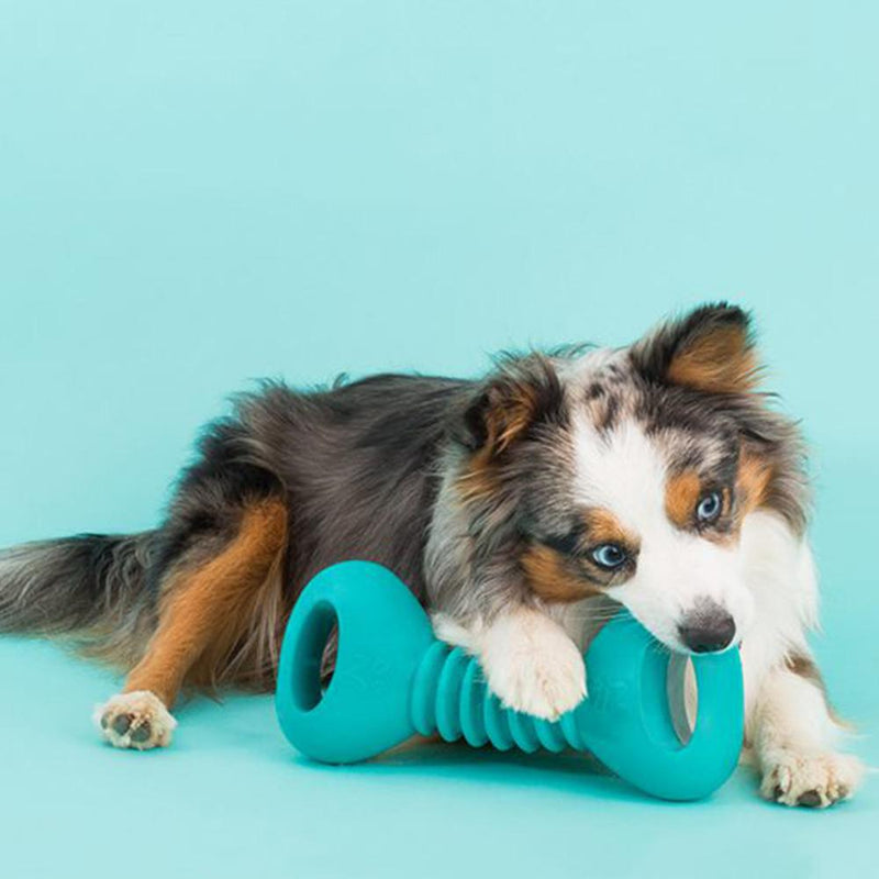 ZippyPaws ZippyTuff Squeakerz - Dumbbell