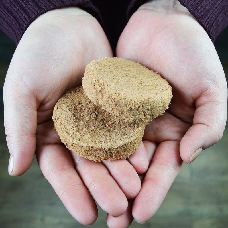 Dandy Lamb Dinner Patties Freeze-Dried Raw Dog Food