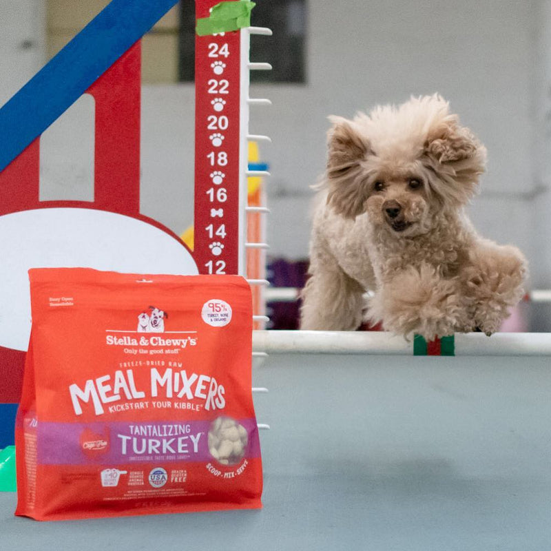 Tantalizing Turkey Meal Mixers Freeze-Dried Raw Dog Food