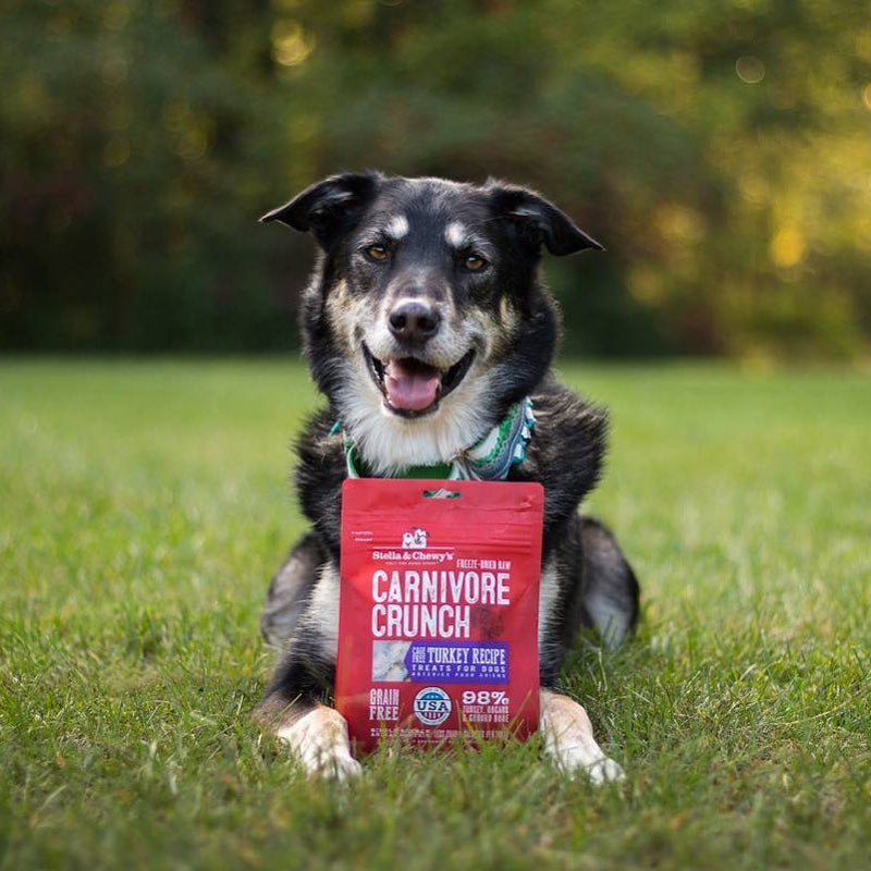 Carnivore Crunch Turkey Recipe Freeze-Dried Raw Dog Treats