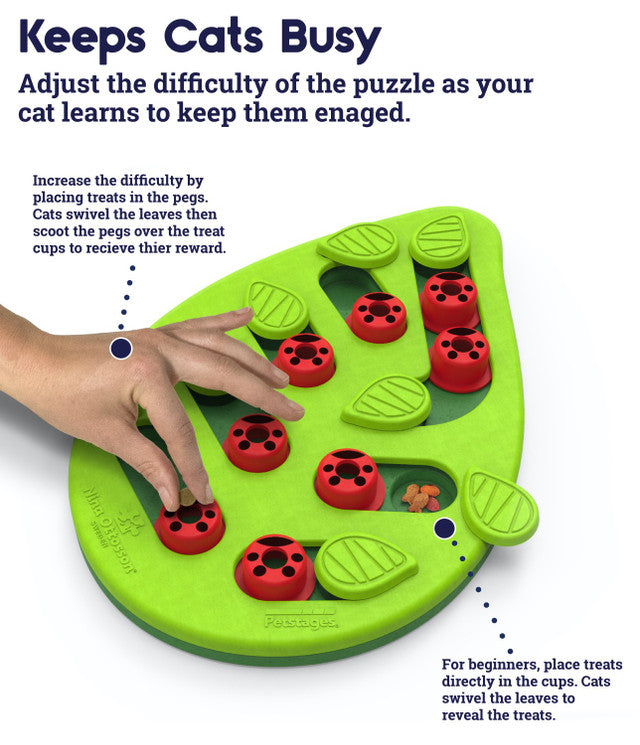 Petstages Buggin' Out Puzzle & Play Cat Toy