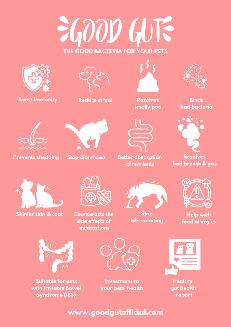 Probiotic Gel For Pets