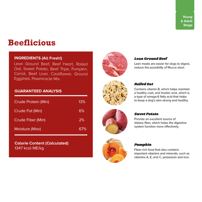 Beeflicious Cooked Dog Food