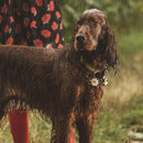 ID Tag - Daisy ID Tag | Personalized Cat Dog Tag | Personalized Cat Dog Tag