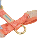 Fourrure Blue Orange Harness For Pets