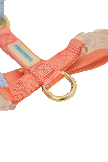 Fourrure Blue Orange Harness For Pets