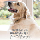 Canned Beef Dog Food