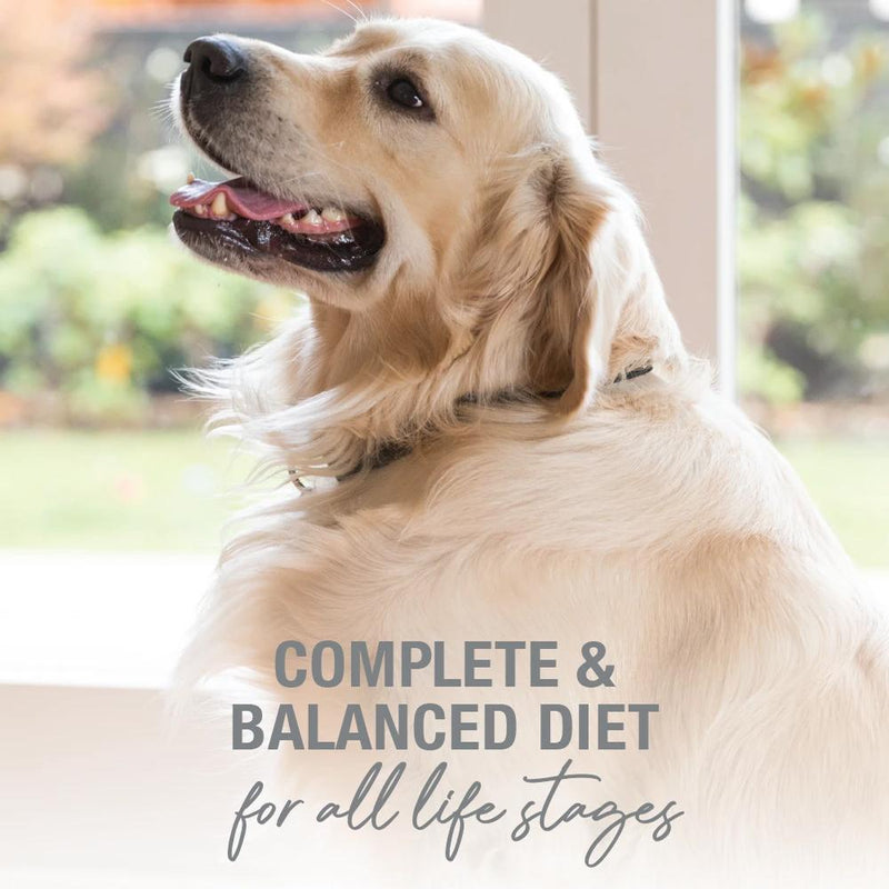 Canned Beef Dog Food