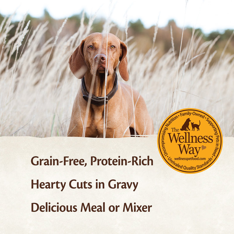 Wellness CORE Hearty Cuts in Gravy Beef & Venison Recipe Dog Food