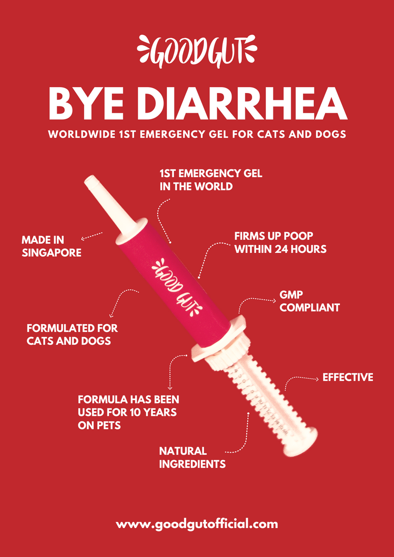 Bye Diarrhea Emergency Gel For Pets