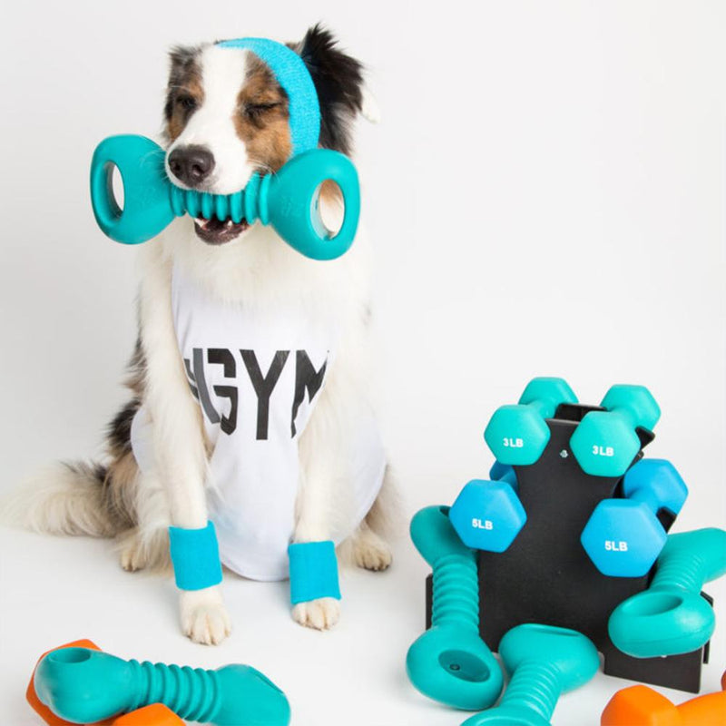 ZippyPaws ZippyTuff Squeakerz - Dumbbell