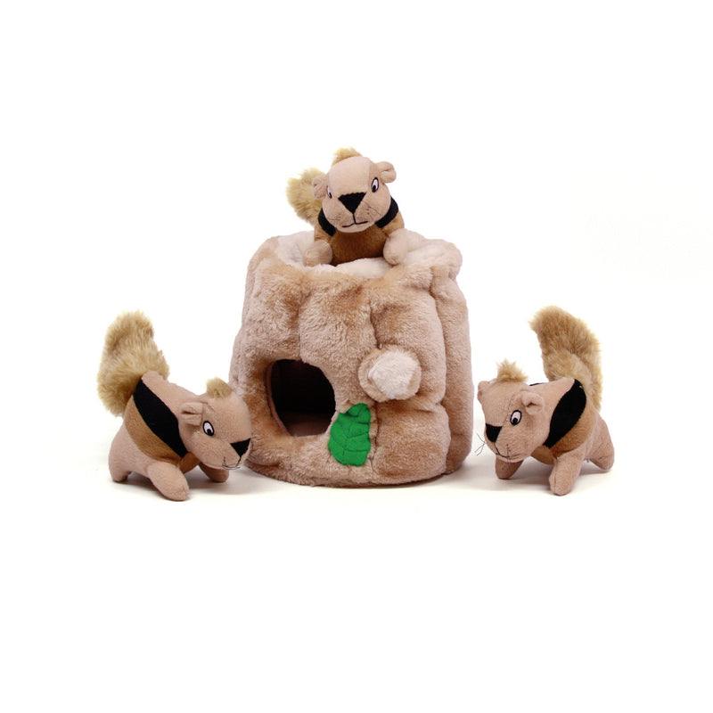 Hide-A-Squirrel Plush Dog Toy