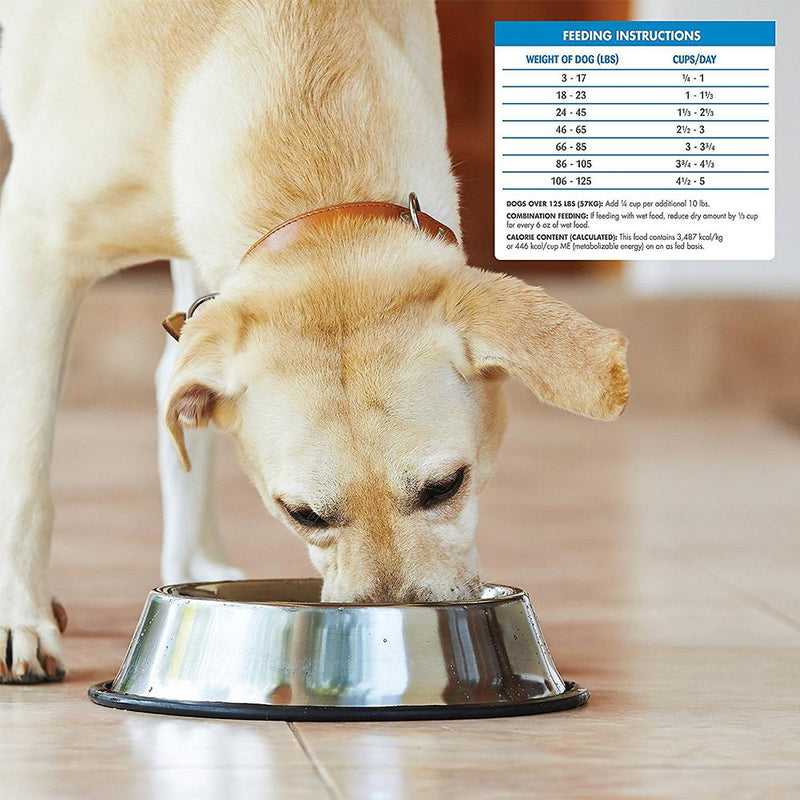 Wellness Simple Limited Ingredient Salmon & Potato Dry Dog Food
