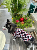 Chasetian Dogior Hearts Dog Sweater