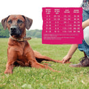 CORE Grain Free Small Breed Turkey & Chicken Dog Food