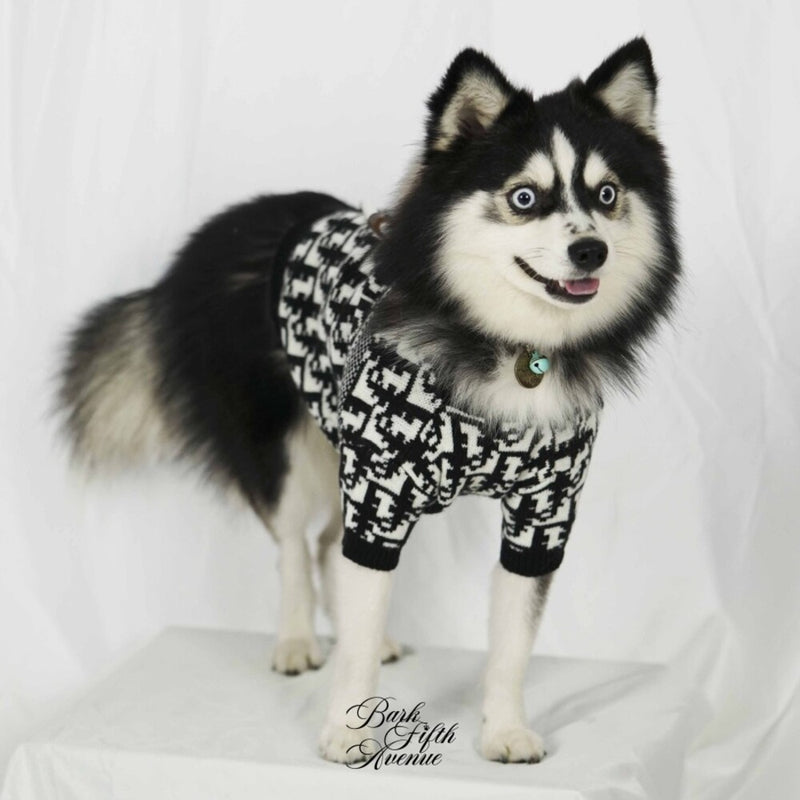 Chasetian Dogior Black Knit Sweater