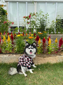 Chasetian Dogior Hearts Dog Sweater