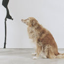 Gradients Solaris Air Mesh Plus Harness