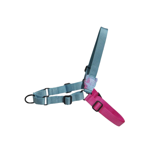 Hydra Soft-Walk Harness