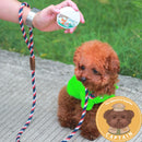 Flea & Tick Spray for Pets