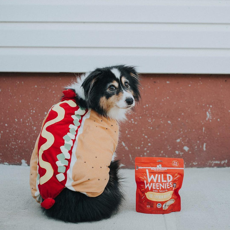 Wild Weenies Chicken Recipe Freeze-Dried Raw Dog Treats