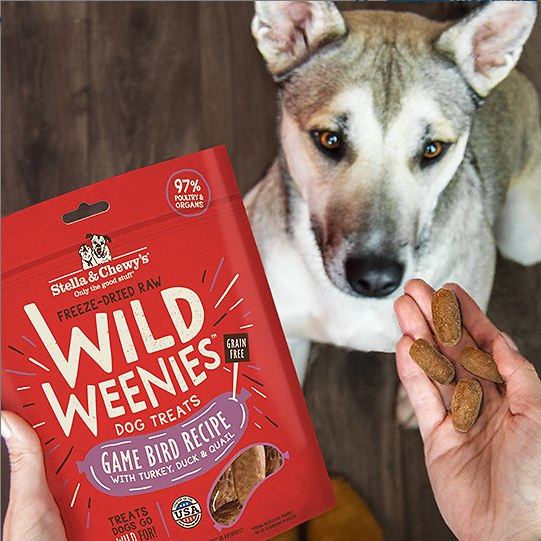 Wild Weenies Game Bird Recipe Freeze-Dried Raw Dog Treats