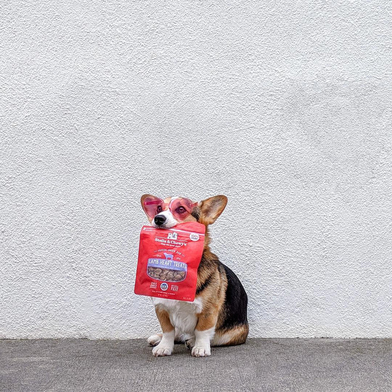 Single Ingredient Lamb Heart Freeze-Dried Cat Dog Treats