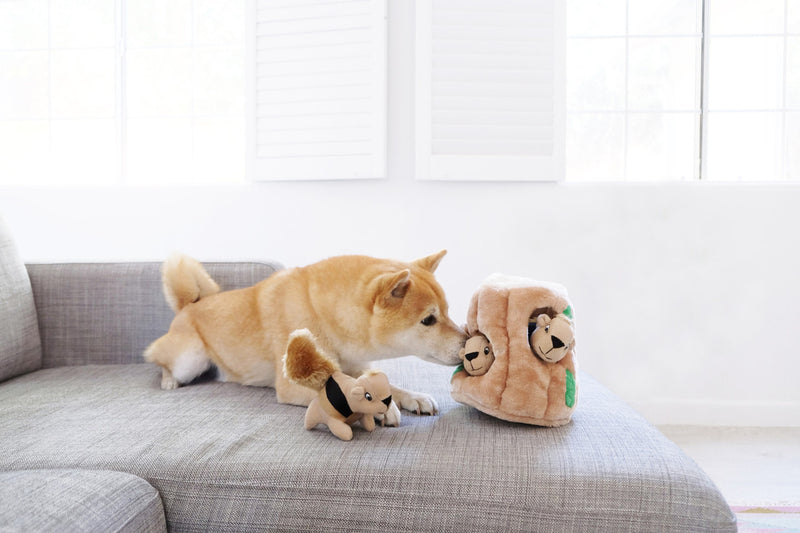 Hide-A-Squirrel Plush Dog Toy