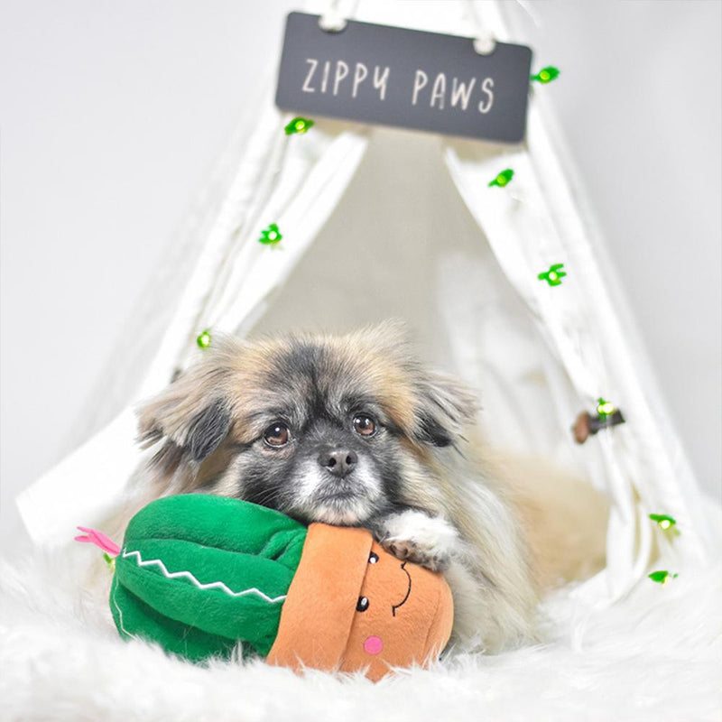 Storybook Snugglerz - Carmen The Cactus Squeaky Plush Dog Toy