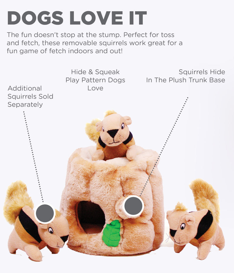 Hide-A-Squirrel Plush Dog Toy