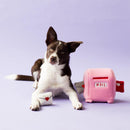 Zippy Burrow - Mailbox And Love Letters Interactive Puzzle Dog Toy