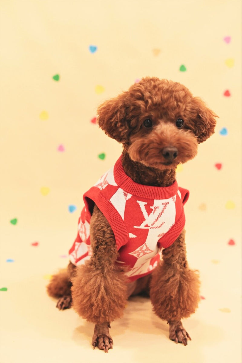 Chewy Pawtton Dog Sweater Red Vest Clothes
