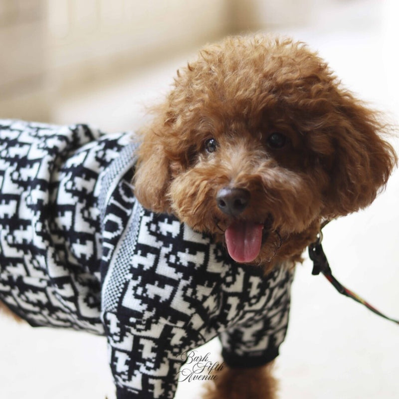 Chasetian Dogior Black Knit Sweater