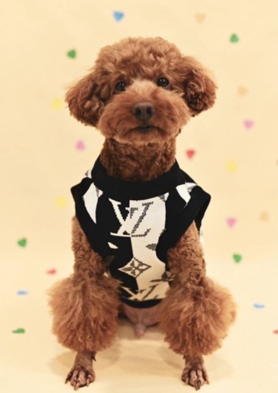 Chewy Pawtton Dog Sweater Black Vest Clothes