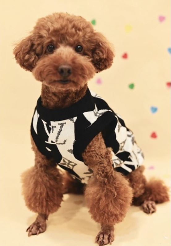 Chewy Pawtton Dog Sweater Black Vest Clothes