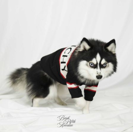 Gipomchy Black Dog Cat Sweater