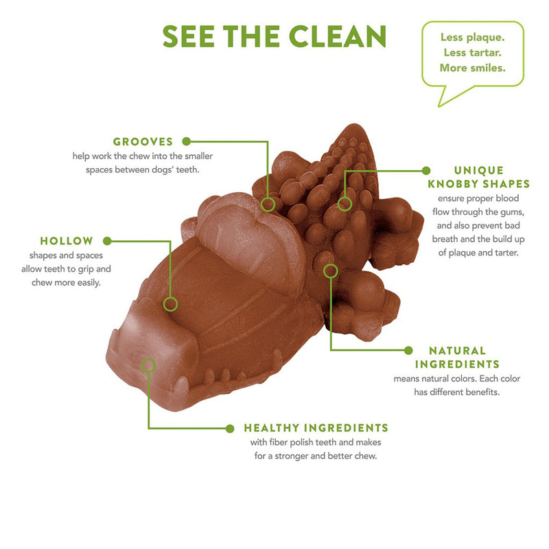 Alligator Dental Dog Chew Treats Value Bag