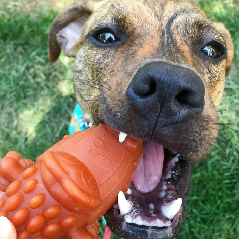 Dental Dog Chew Treats Variety Value Box