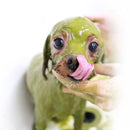 Dog Spa Doctor's Health Herb Organic 100%