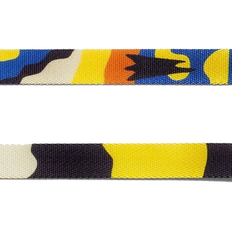 Artsy Leash