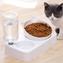Automatic Feeder Double Bowl Raised Stand Dish Bowls