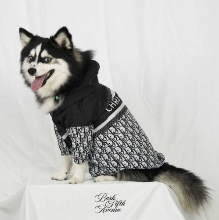 Chasetian Dogior Black Jacket Hoodie