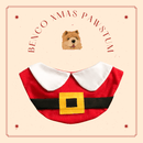 Santa Costume Bib For Pets
