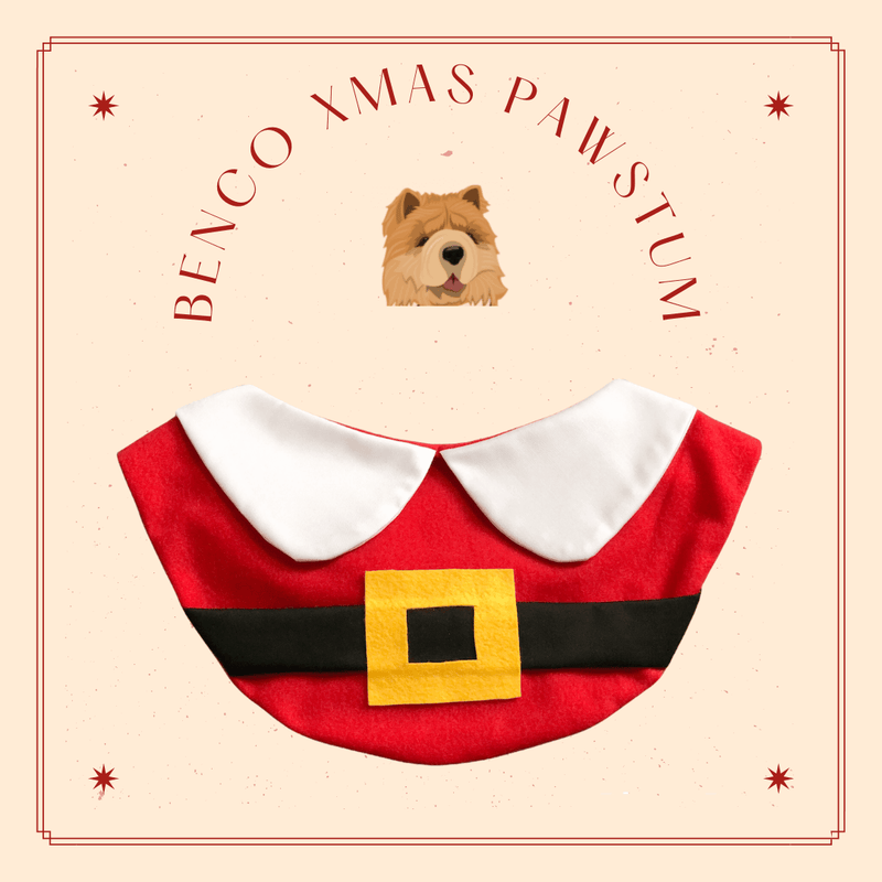 Santa Costume Bib For Pets