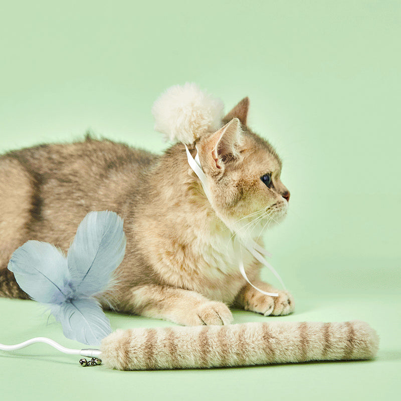 Bingo Cat Teasing Toy Replacement