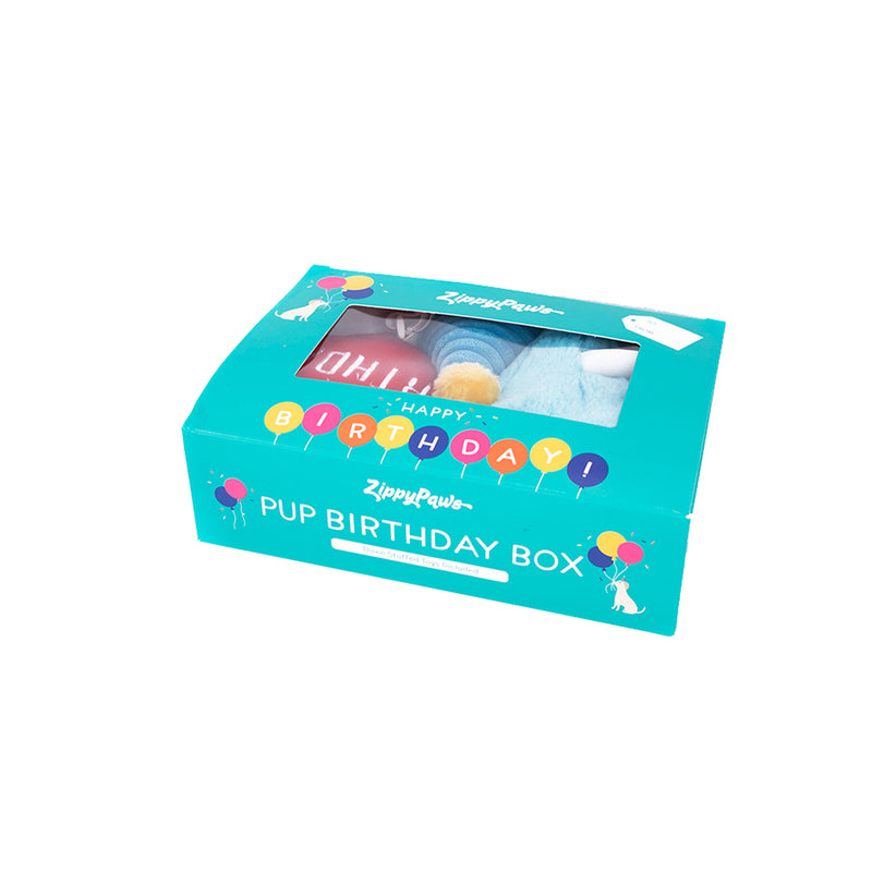 Pup Birthday Box Dog Toy