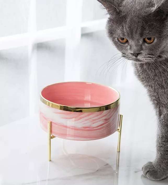 Marble Pet Bowl With Gold Stand