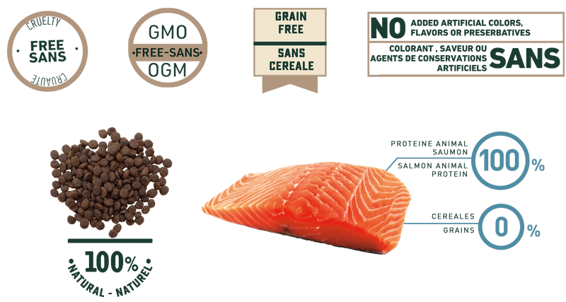 Grain-Free Salmon Adult Dry Cat Food