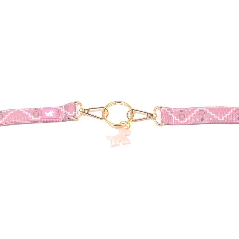 Bride Coupler  Double Leash For Dogs